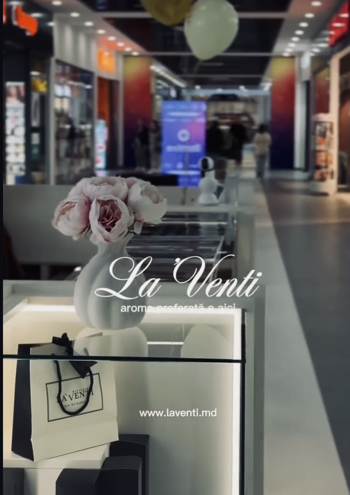 Aesthetic product and lifestyle photography by Lina